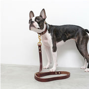 Two-Tone Leather Collar in Black and Brown - This Dog's Life