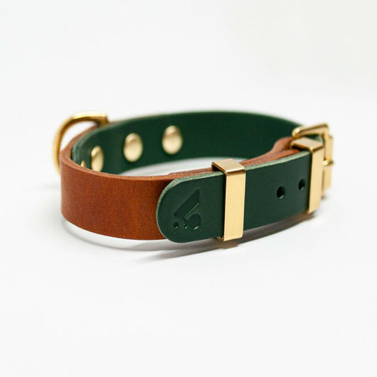 Two-Tone Leather Collar in Tan and Jade - This Dog's Life
