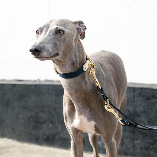 Two-Tone Leather Collar in Navy and Nude - This Dog's Life