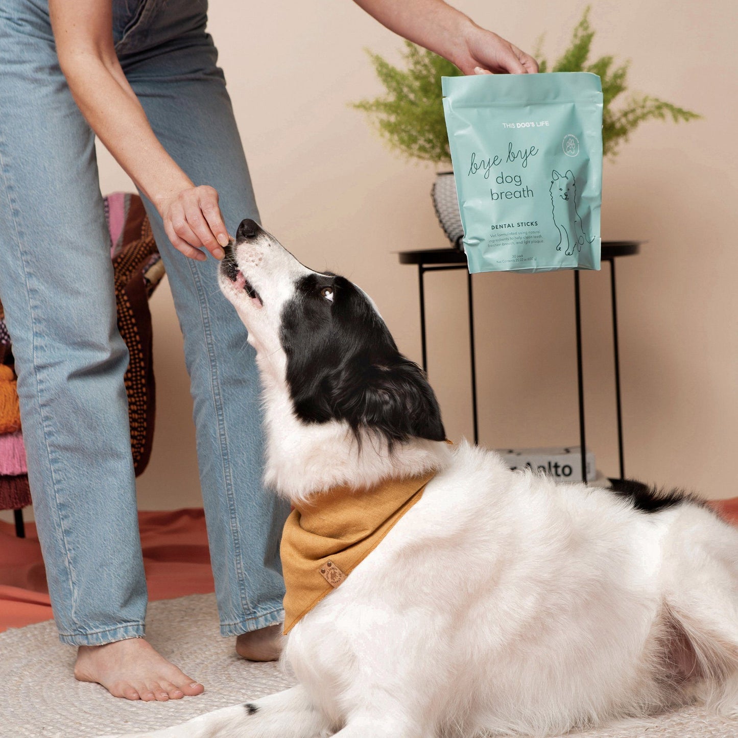 Bye, Bye Dog Breath Dental Sticks - This Dog's Life