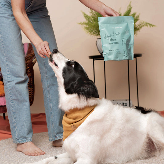 Bye, Bye Dog Breath Dental Sticks - This Dog's Life