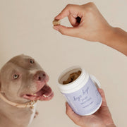 PRE-ORDER: Bye Bye Pup Worries <br> Dog Anxiety and Calming Supplement