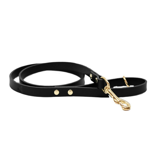 The Essential Classic Leather Leash in Black - This Dog's Life