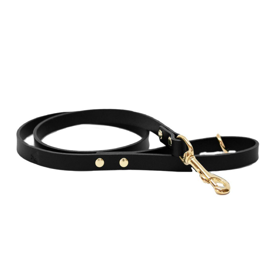 The Essential Classic Leather Leash in Coffee Brown - This Dog's Life