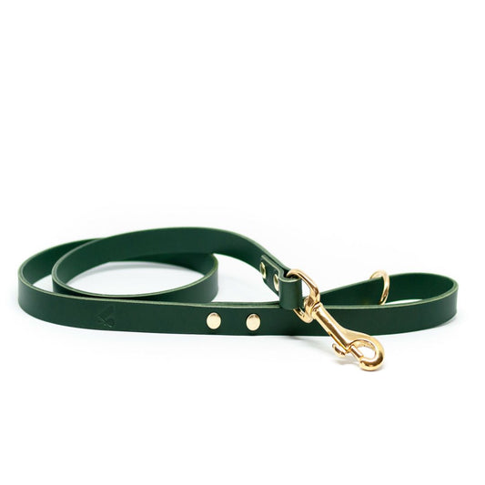 The Essential Classic Leather Leash in Jade Green - This Dog's Life