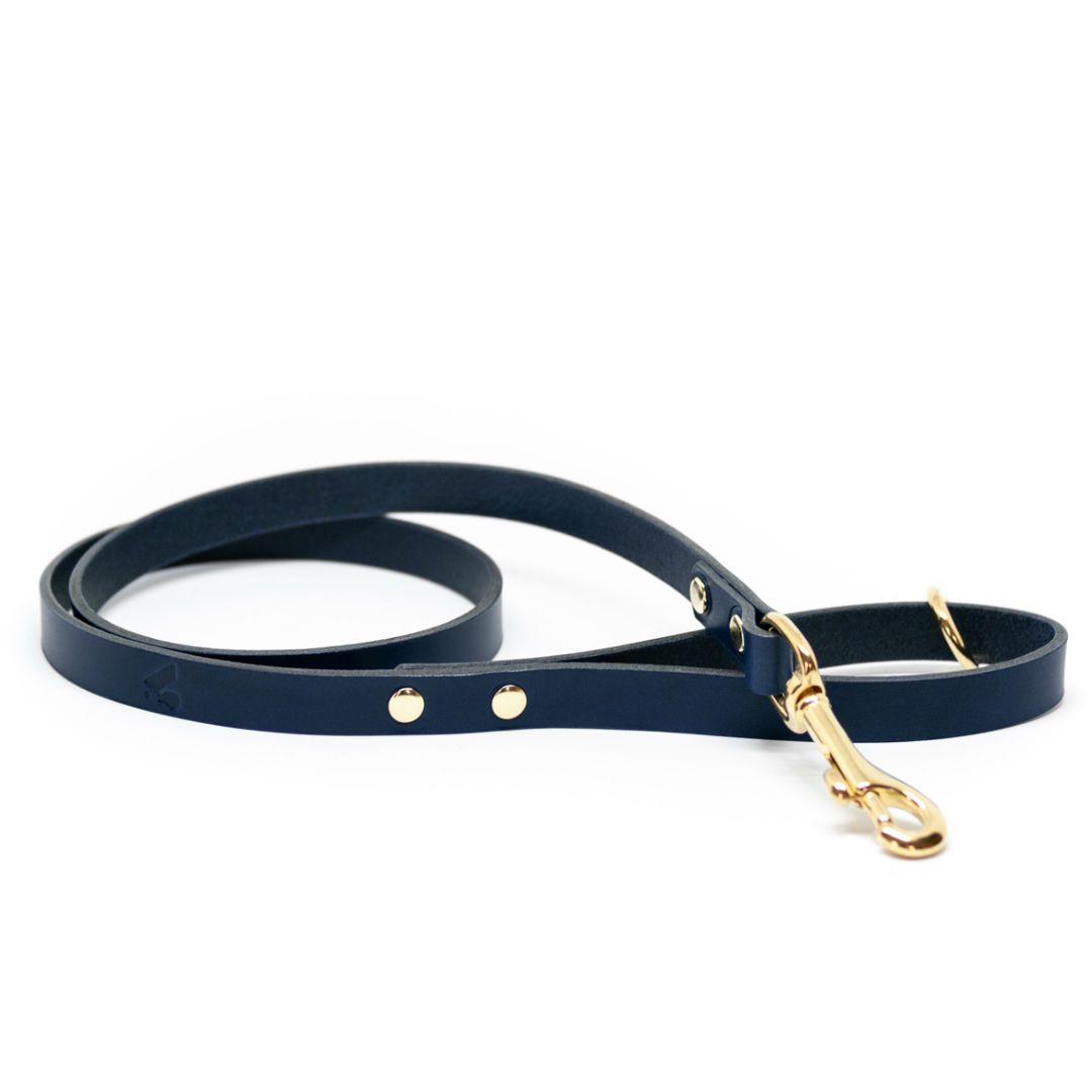 The Essential Classic Leather Leash in Coffee Brown - This Dog's Life