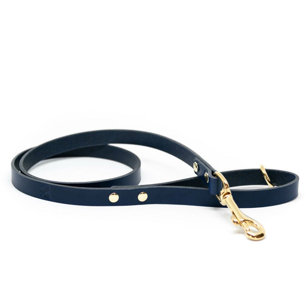 The Essential Classic Leather Collar in Navy Blue – This Dog's Life