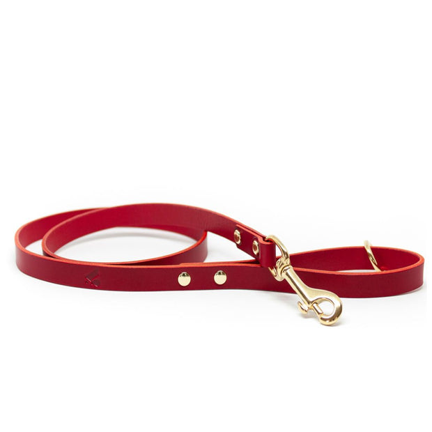 The Essential Classic Leather Leash in Ruby Red - This Dog's Life