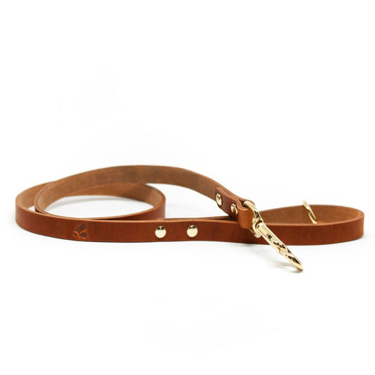 The Essential Classic Leather Leash in Tan - This Dog's Life