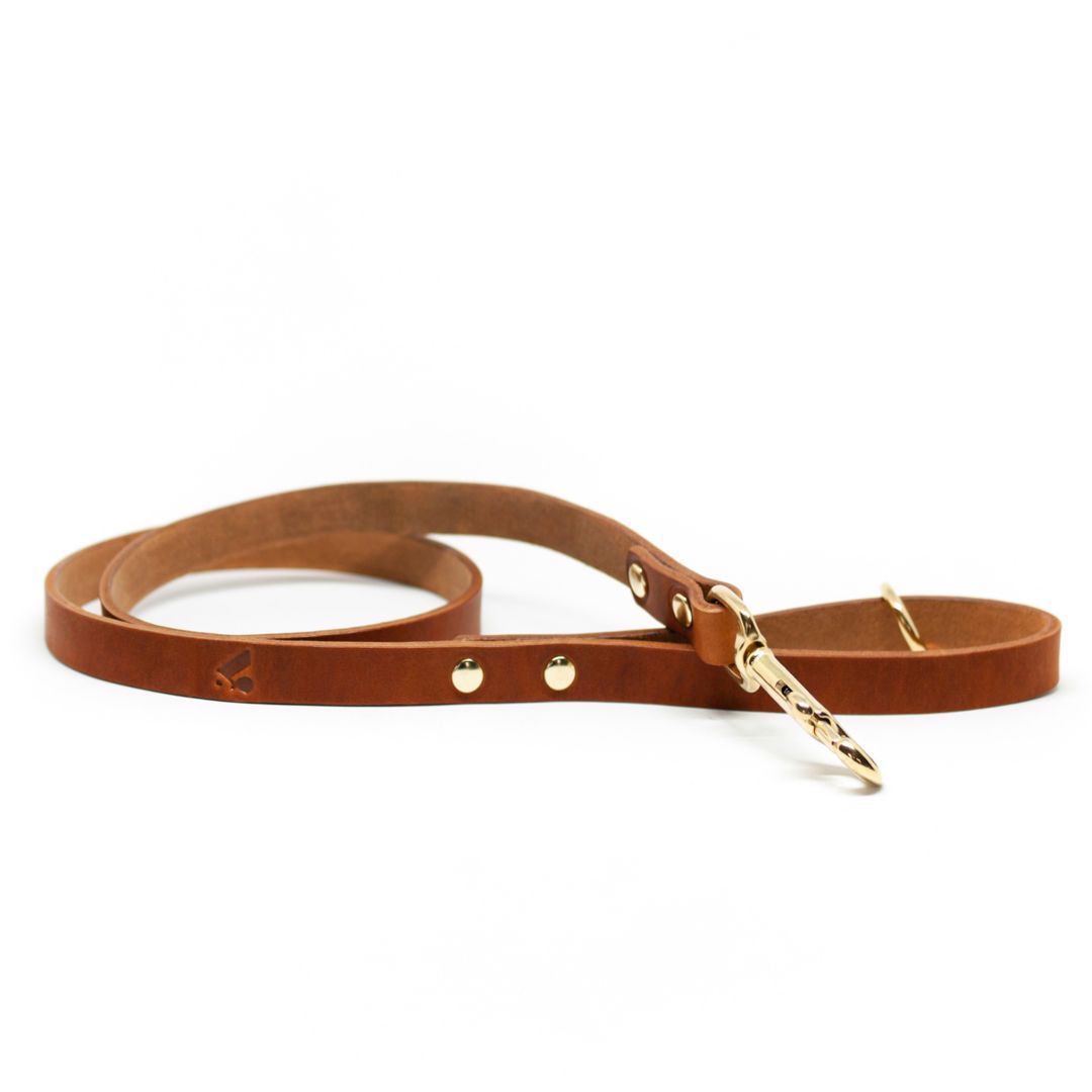 The Essential Classic Leather Leash in Coffee Brown - This Dog's Life