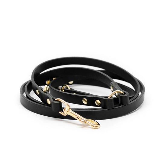 The Essential 5-in-1 Leather Leash in Black - This Dog's Life