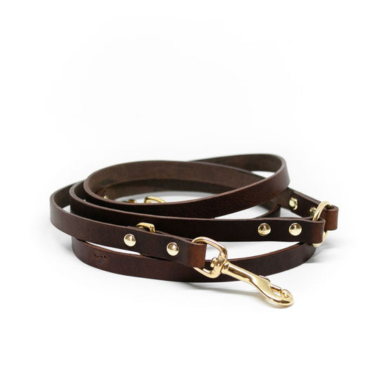 The Essential 5-in-1 Leather Leash in Coffee Brown - This Dog's Life