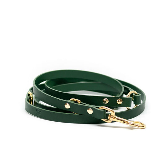 The Essential 5-in-1 Leather Leash in Jade Green - This Dog's Life