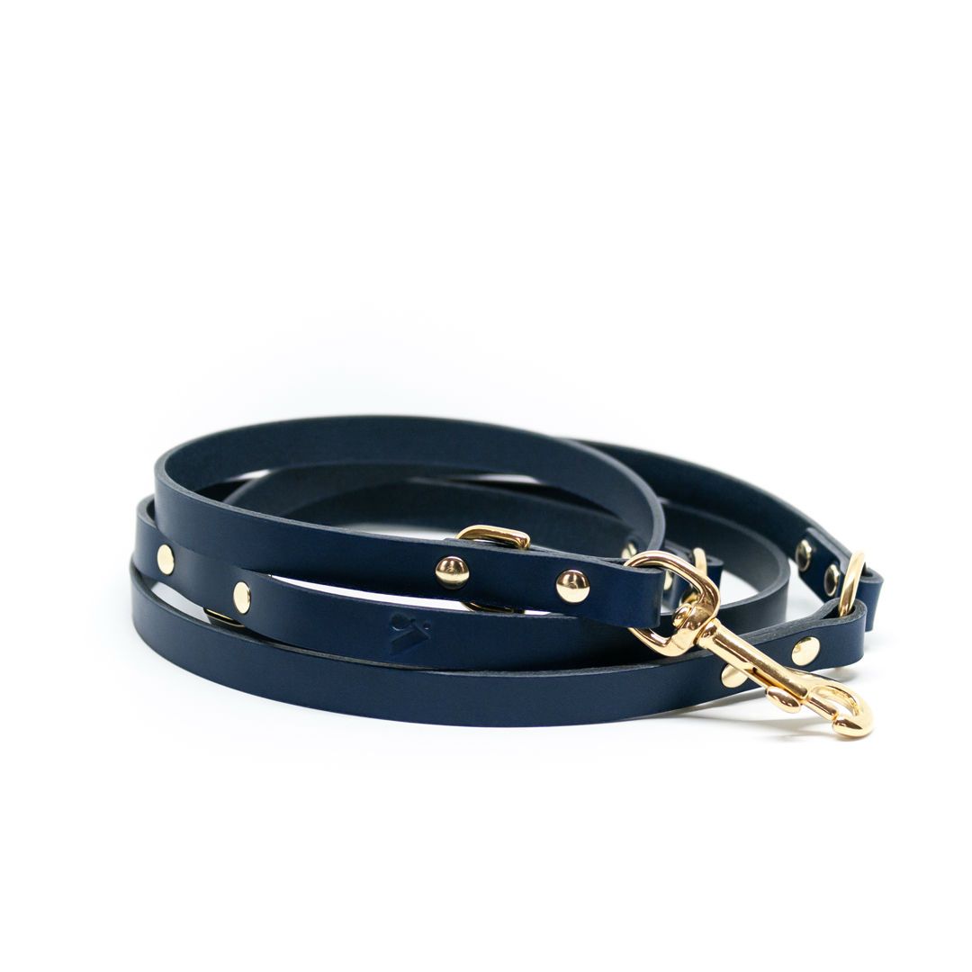 The Essential 5-in-1 Leather Leash in Black - This Dog's Life