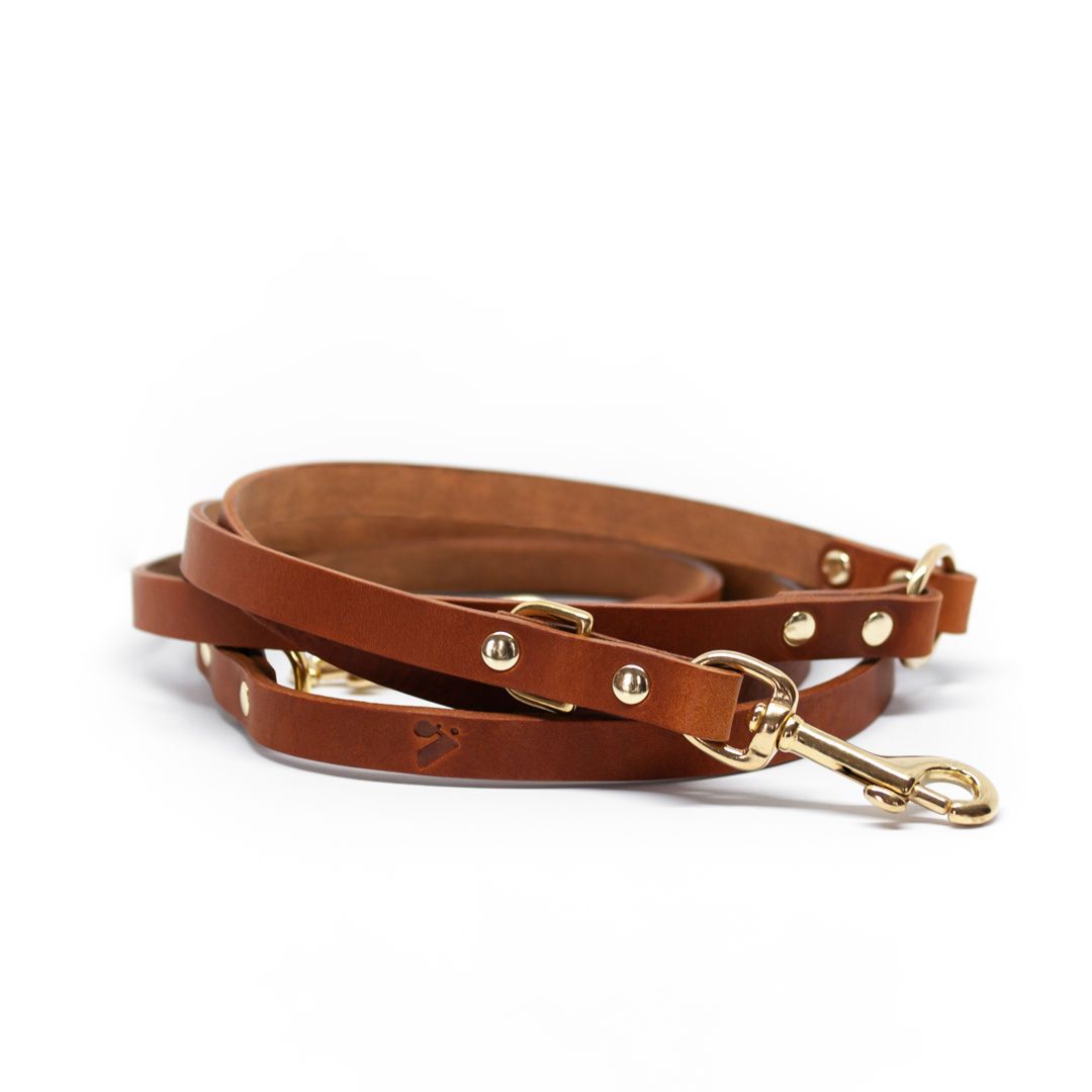 The Essential 5-in-1 Leather Leash in Black - This Dog's Life