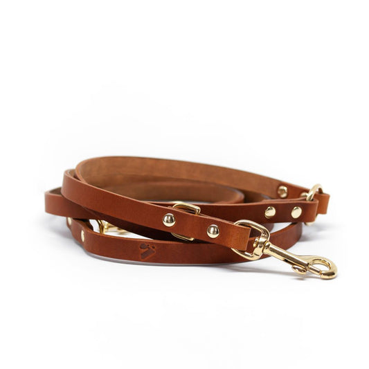 The Essential 5-in-1 Leather Leash in Tan - This Dog's Life