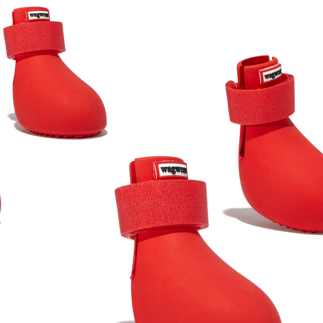 WagWellies Dog Rubber Rain Booties in Cherry Red - This Dog's Life